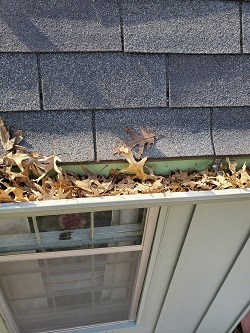 Logotypes: Clean Pro Gutter Cleaning Chesapeake 
