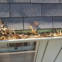 Clean Pro Gutter Cleaning Chesapeake 's Portfolio
